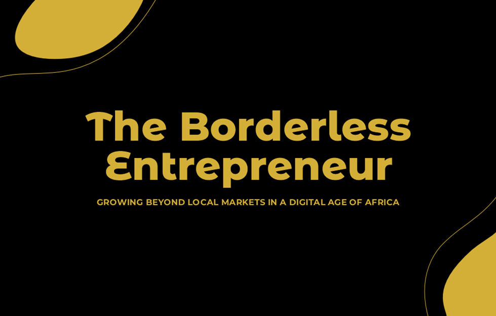 the borderless entrepreneur book cover