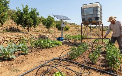 Innovative Irrigation Techniques for Small-Scale Farmers
